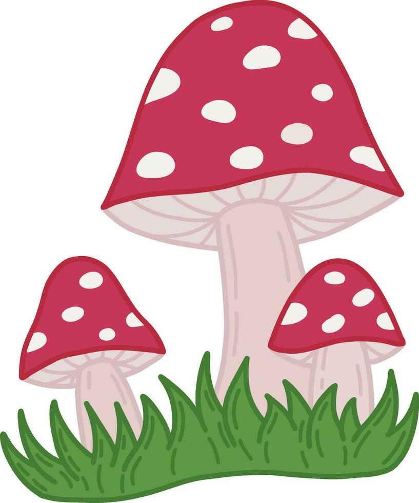 Fly agaric, inedible poisonous forest mushrooms. A sketch of a vector illustration of a bright fly agaric. Beautiful red mushrooms with white spots.