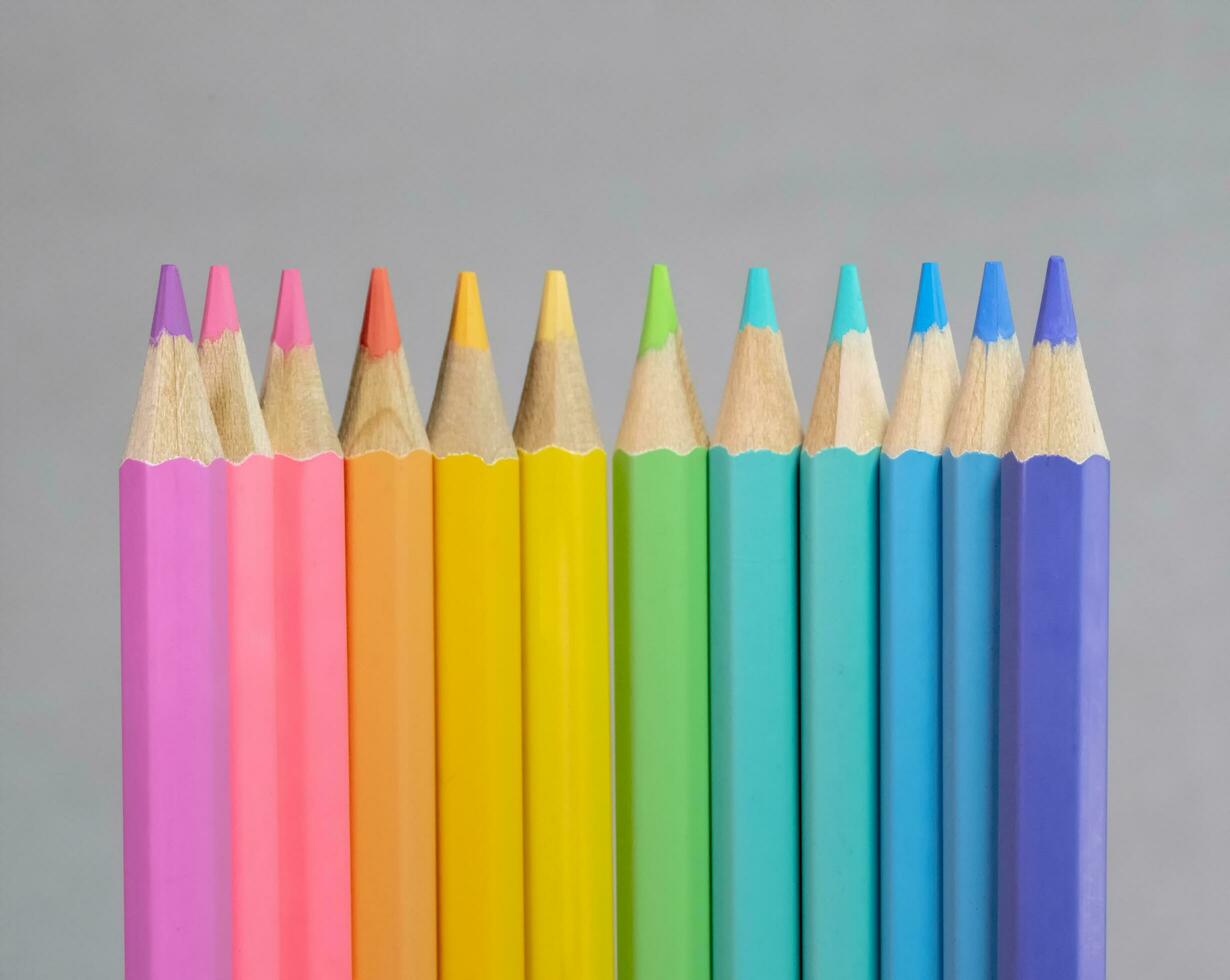 Color pancils, Group of pastel color pencil laying in row striaght line made by pencil tips with grey background close up, Pastel color, Painting equipment, Education concept. photo