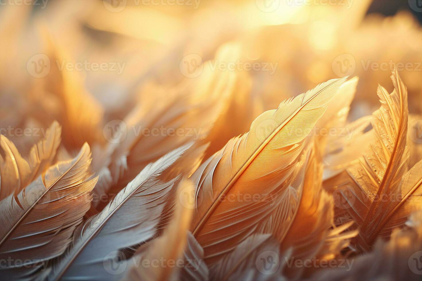 Ice crystals forming organic feather-like whimsical patterns across an outdoor window pane, backlit with streaming golden sunrise rays. The concept of the beauty of natural phenomena. AI Generated. photo