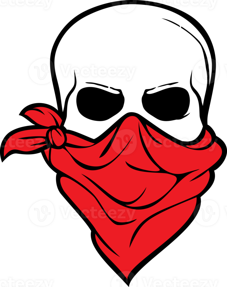 Skull with Bandana - Bandit or Pirate Design PNG Illustration.