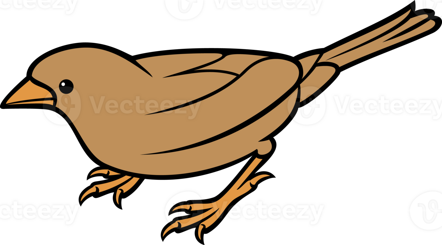 Sparrow - Small Bird PNG Illustration