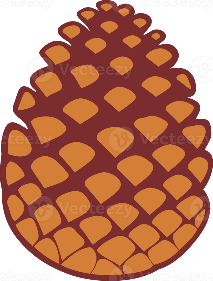 Pine Tree Cone PNG Illustration