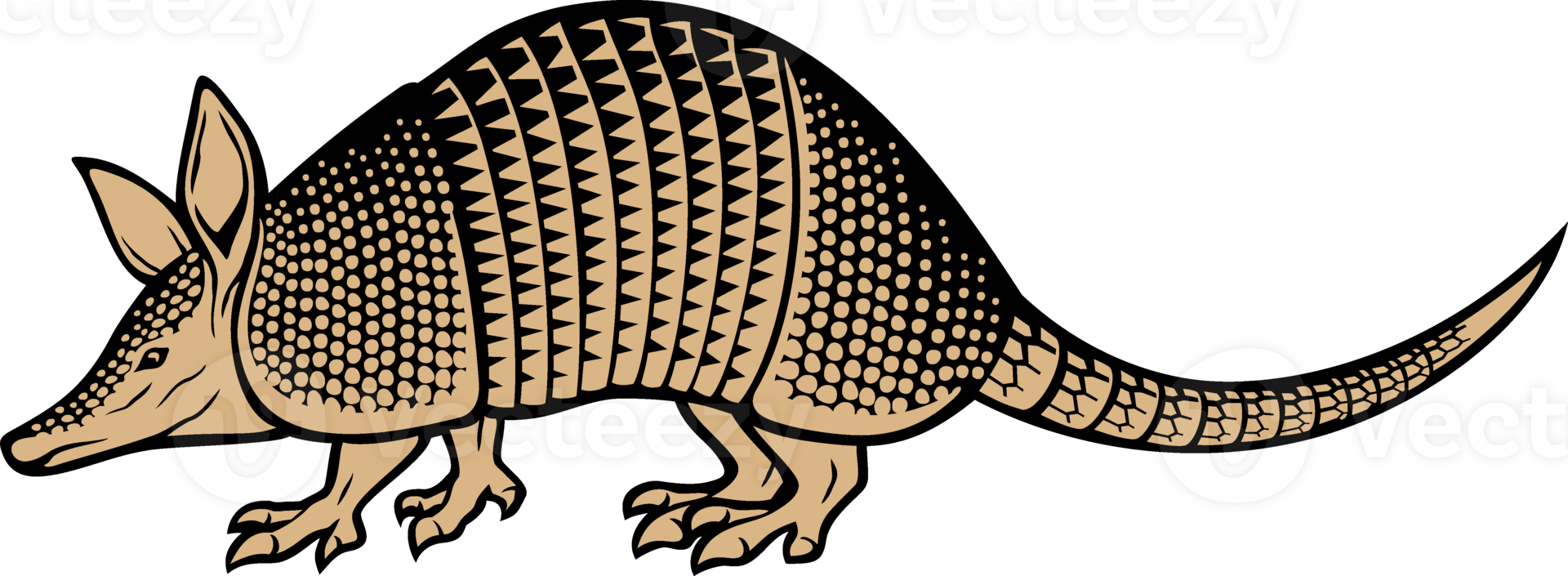 Armadillo Animal PNG Illustration