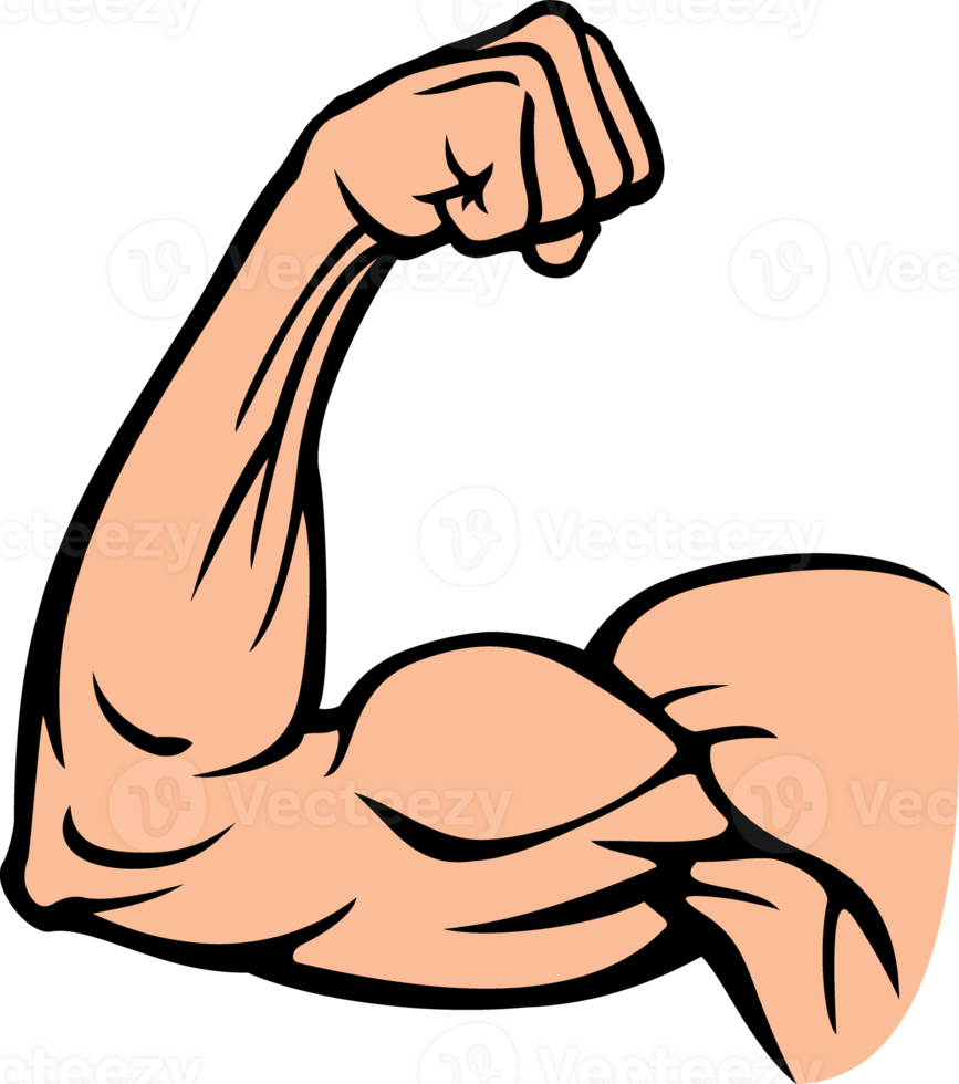 Biceps Muscle Flexing PNG Illustration