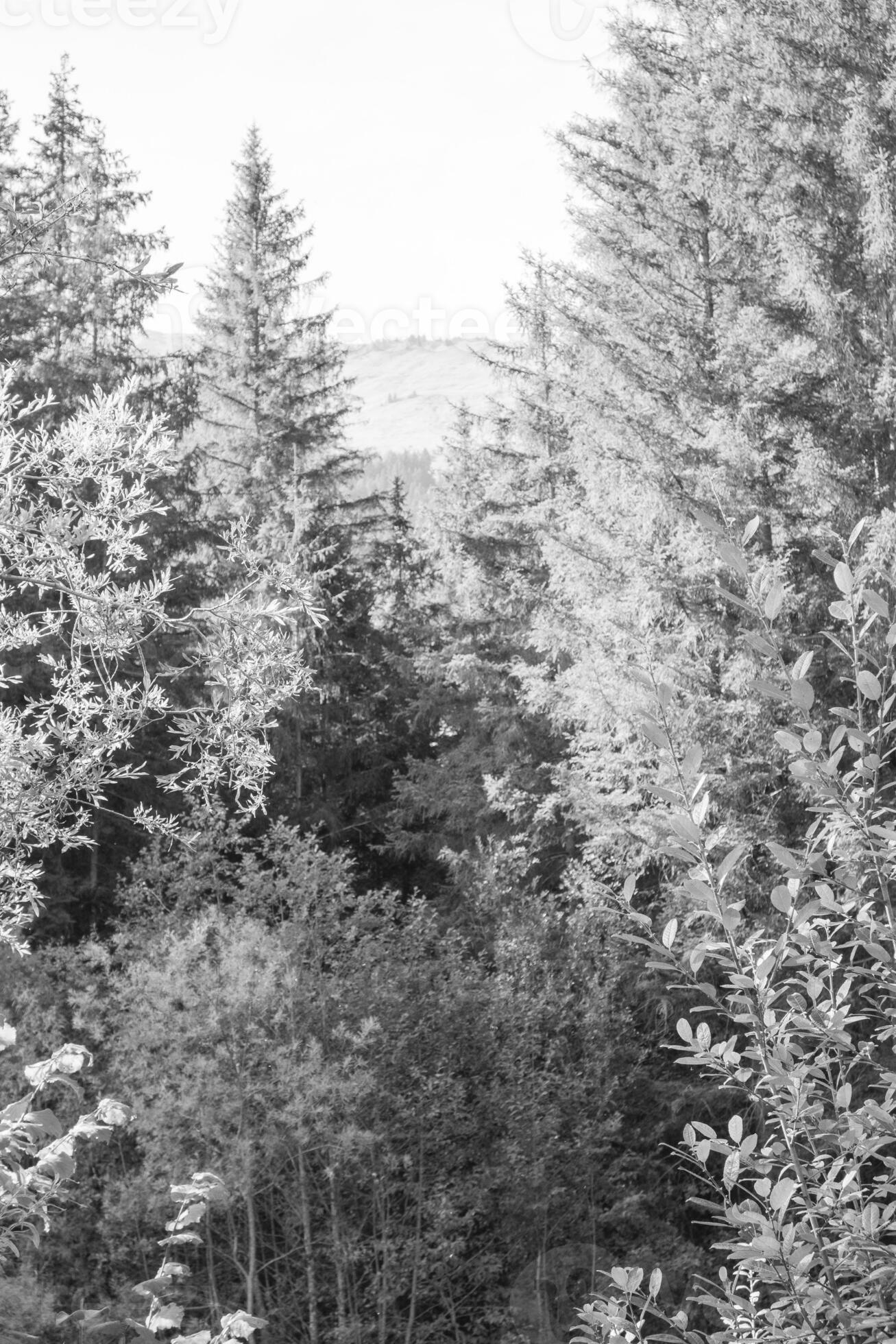 Autumn time in switzerland 32333017 Stock Photo at Vecteezy