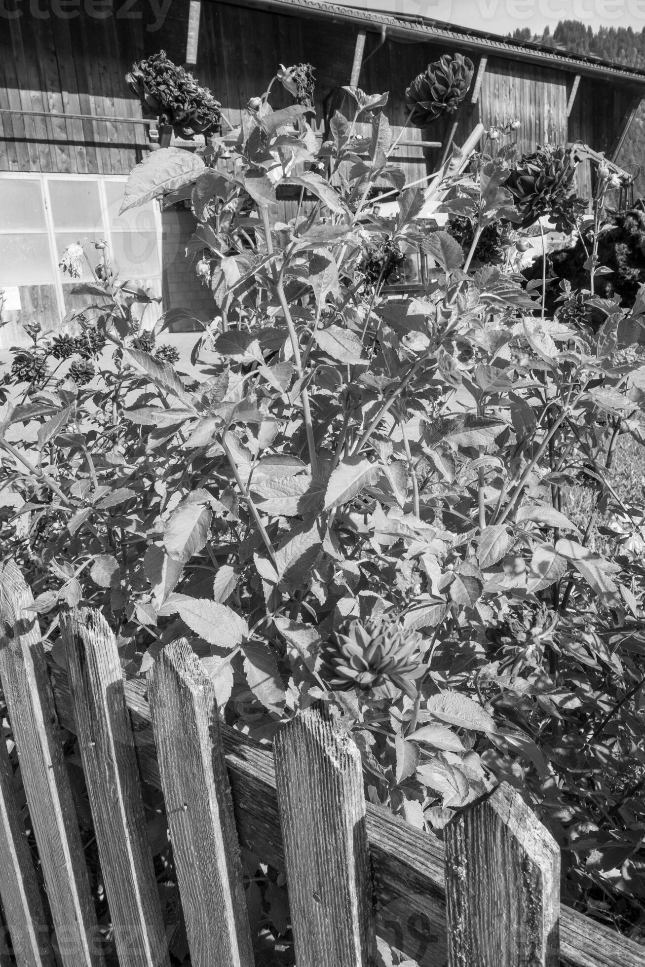 Autumn time in switzerland 32333049 Stock Photo at Vecteezy