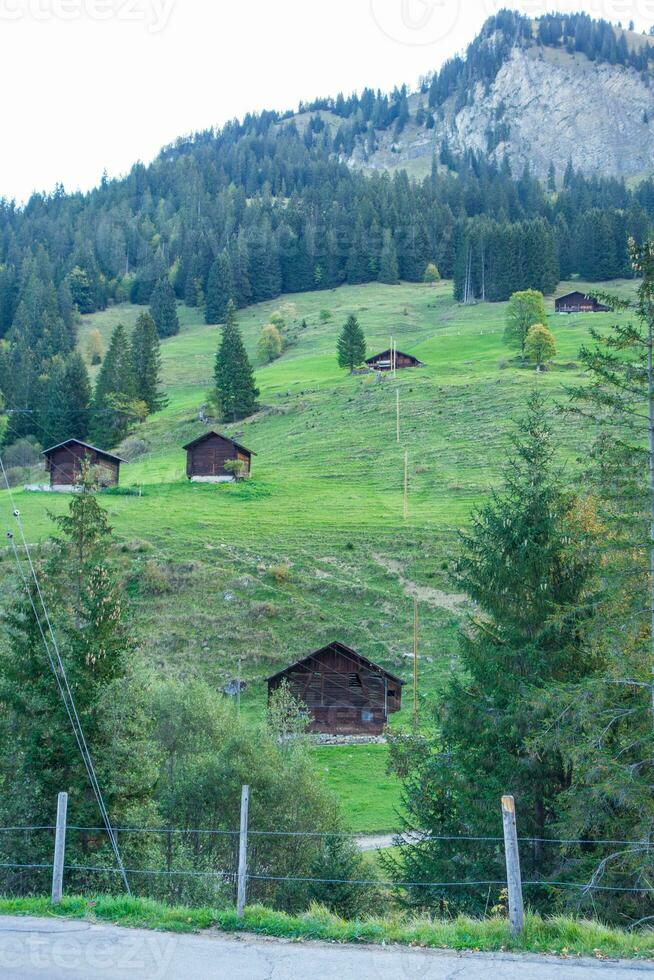 autumn time in switzerland photo