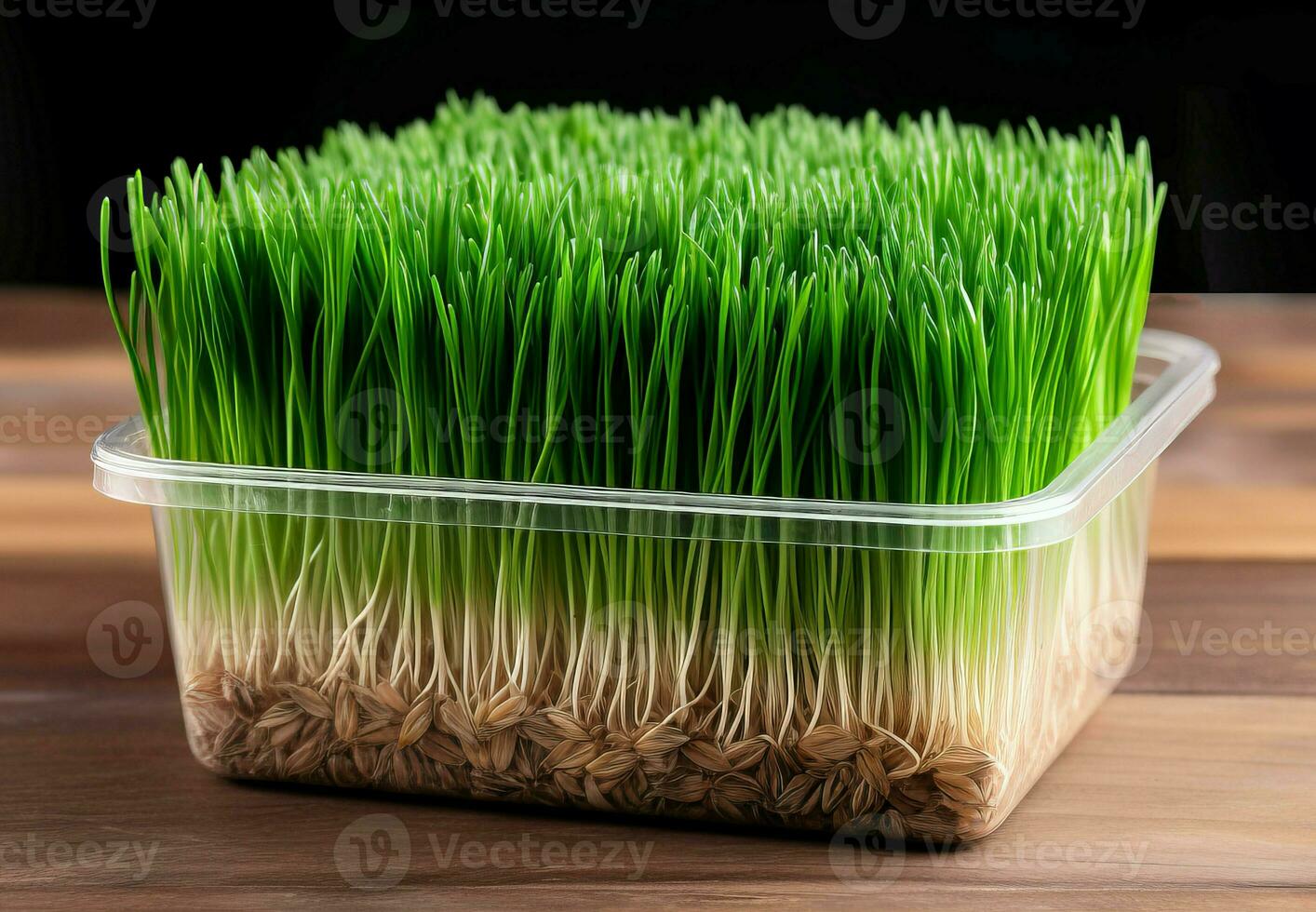 Container with fresh wheat grass. Generate ai photo