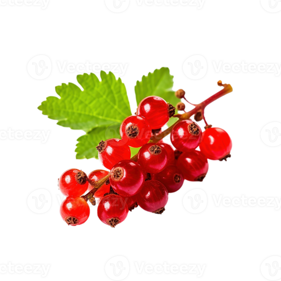 Red currant isolated on transparent background, created with generative AI png