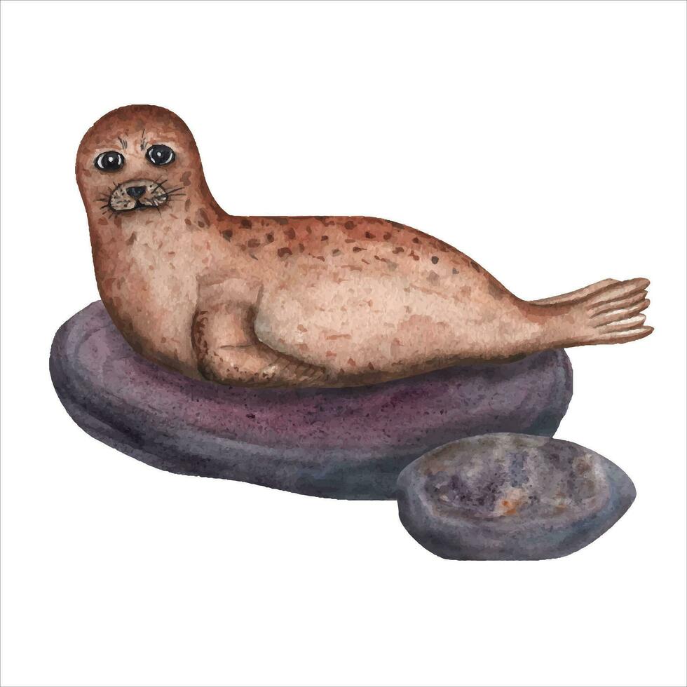 Watercolor illustration with seal. Perfect for wallpaper, print, baby textile, nursery, scrapbooking, banner design, postcards, clothing. Cartoon style. vector