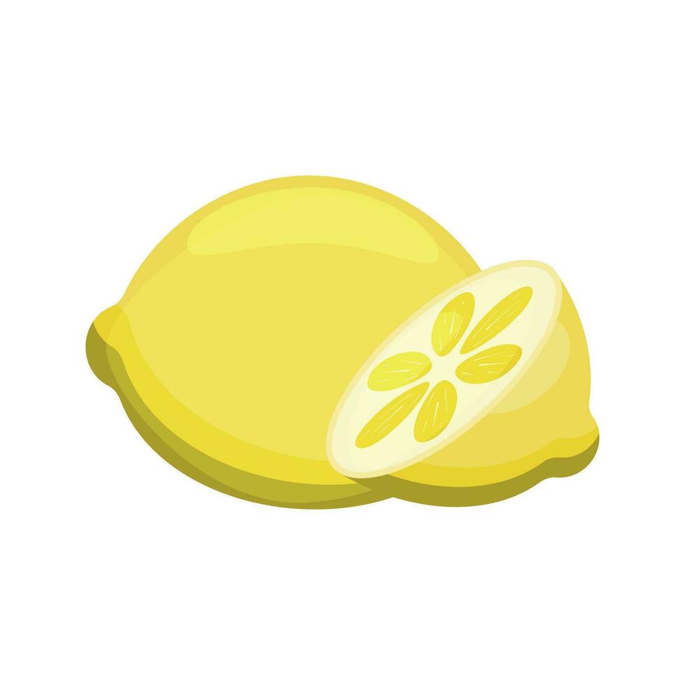 Yellow lemon and lemon slice vector