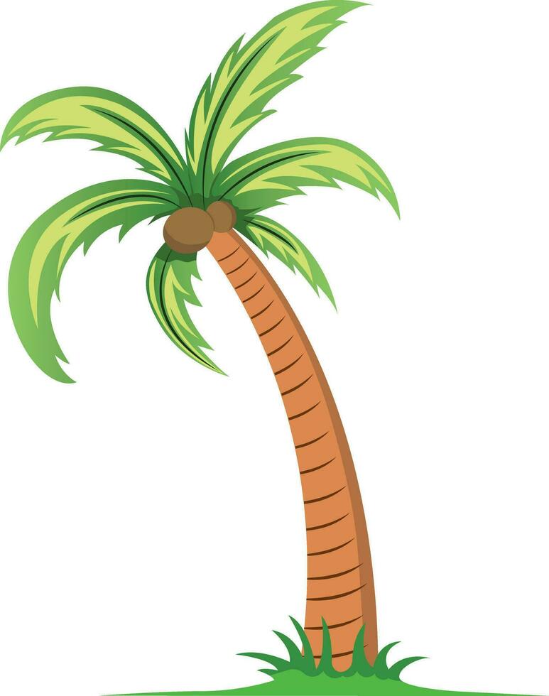 Palmera con ilustración de vector de cocos