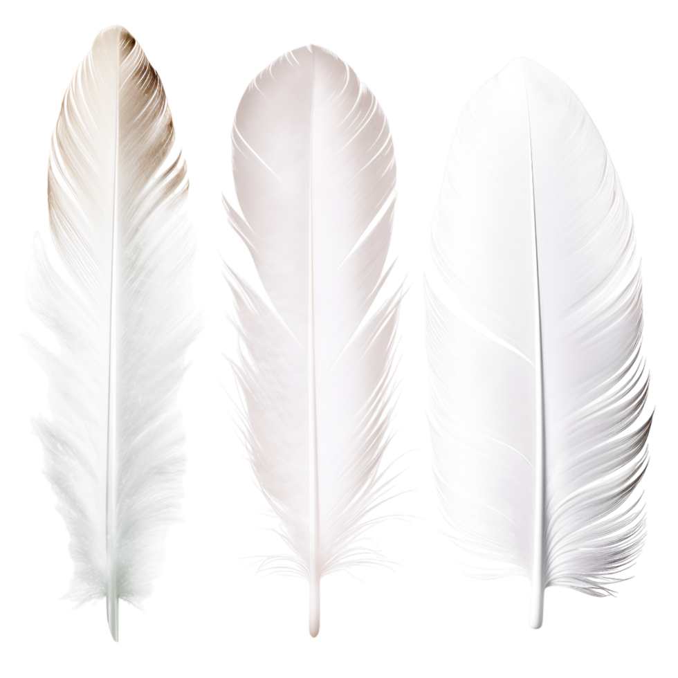White feather png image AI Generative 32335359 PNG