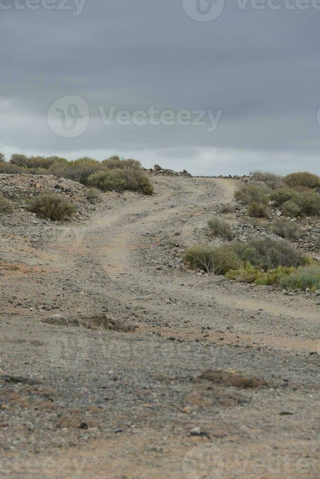 Road through the scenic landscape photo