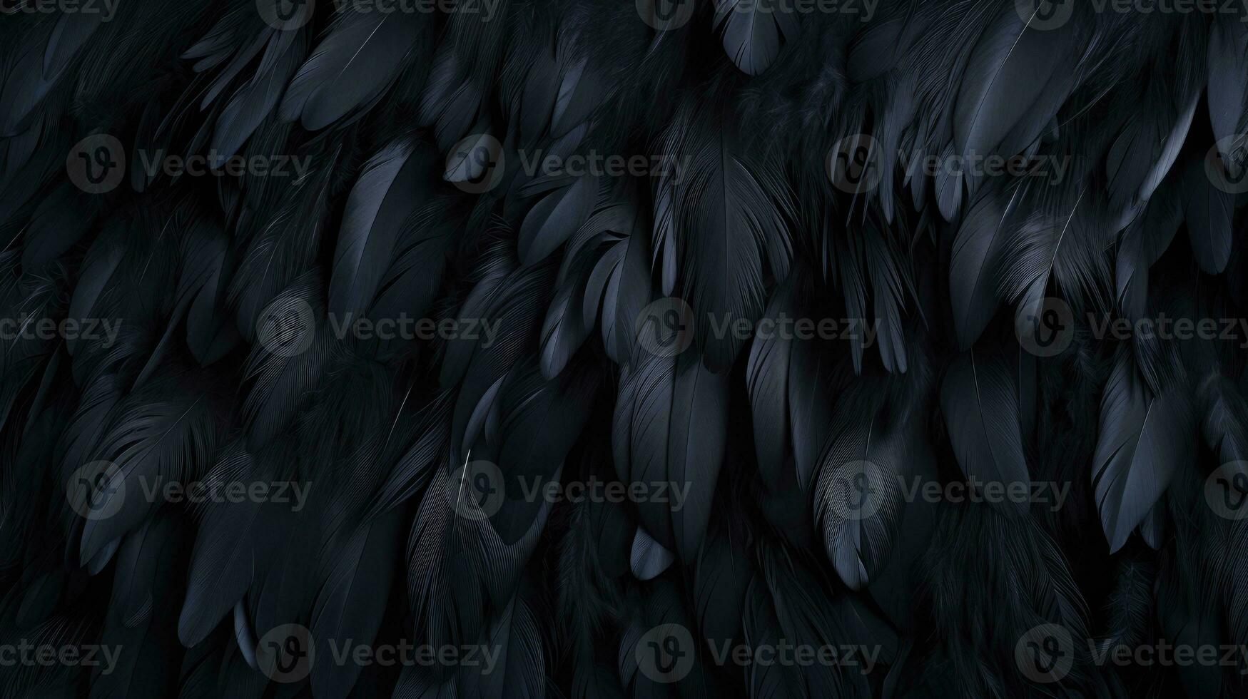 Black wing feathers detail, abstract dark background. Black feather texture photo