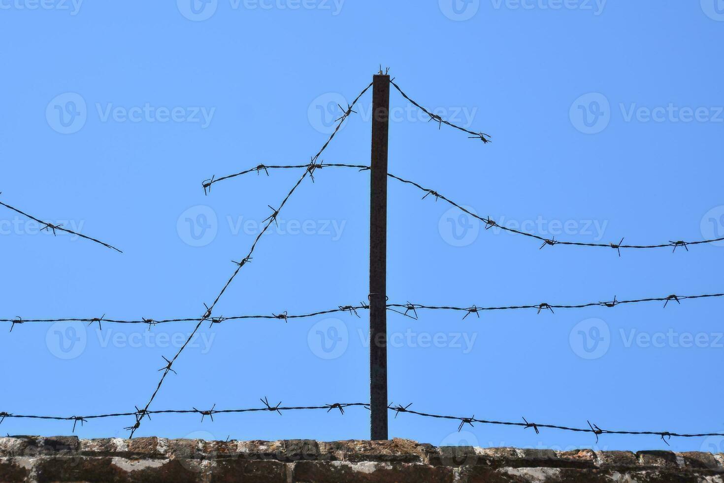 Barbed wire fence photo