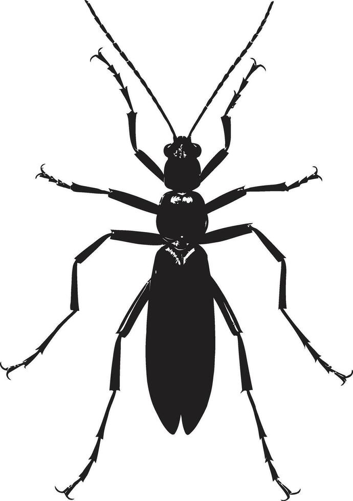 vectorizado insecto exploración elegante monocromo error Arte vector