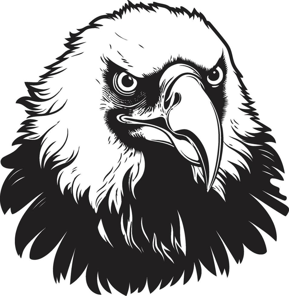 Silent Vultures Roaming Mark Black Vector Feathered Majesty