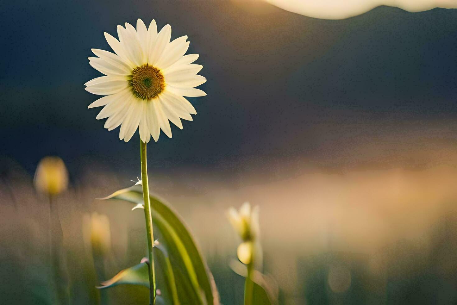 a single white daisy is standing in the middle of a field. AI-Generated photo