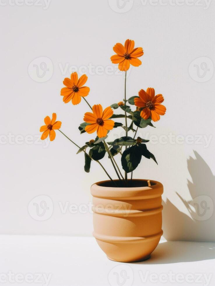 flores en maceta en blanco antecedentes ai generativo foto