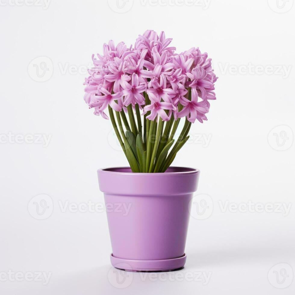 flores en maceta en blanco antecedentes ai generativo foto