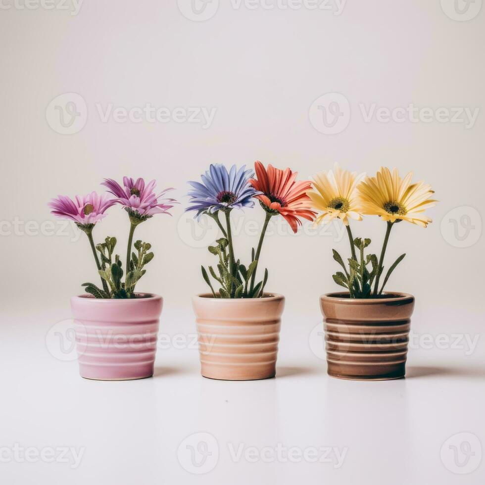 Flowers in pot on white background AI Generative photo