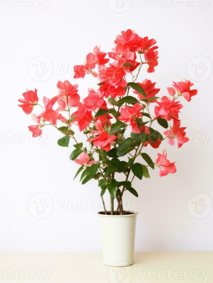 Flowers in pot on white background AI Generative photo