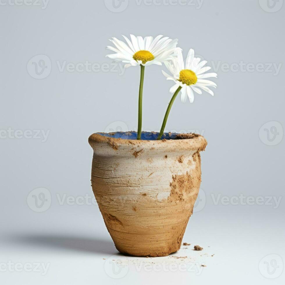 flores en maceta en blanco antecedentes ai generativo foto