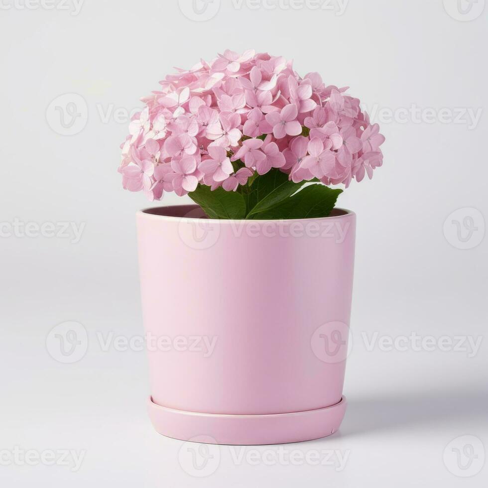 Flowers in pot on white background AI Generative photo