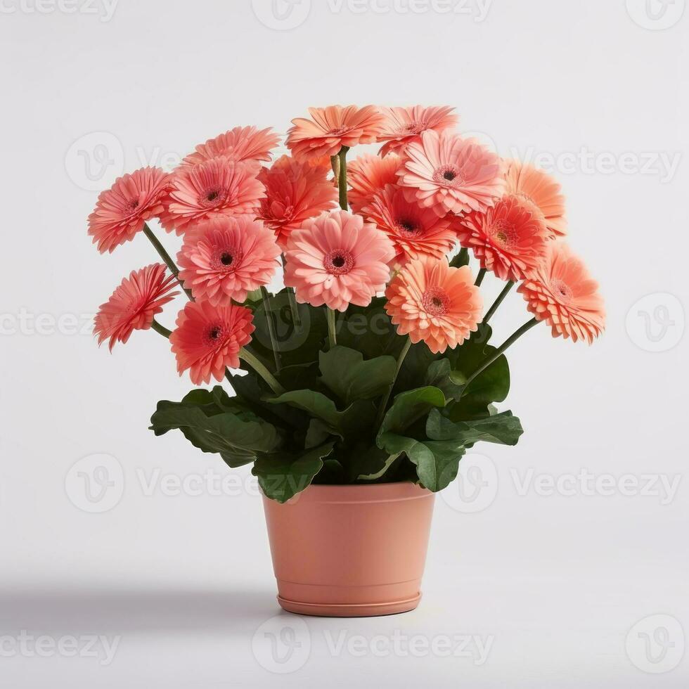 flores en maceta en blanco antecedentes ai generativo foto