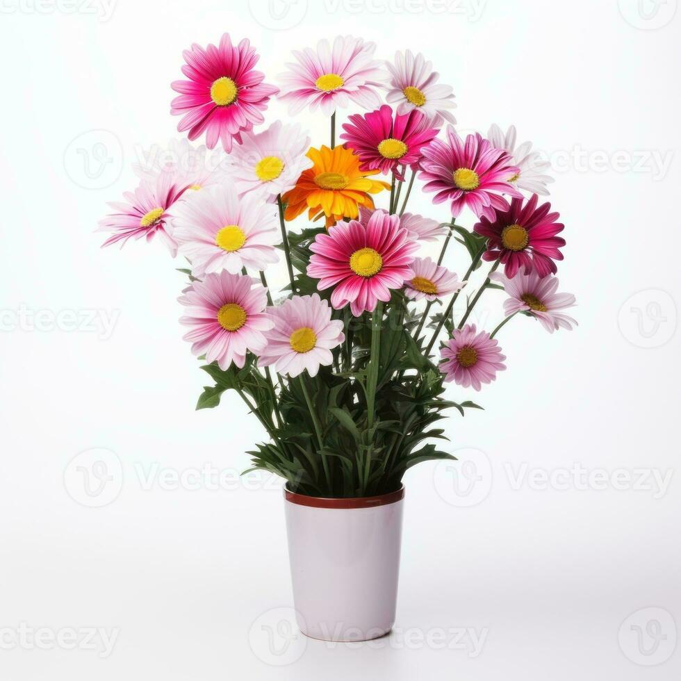 Flowers in pot on white background AI Generative photo