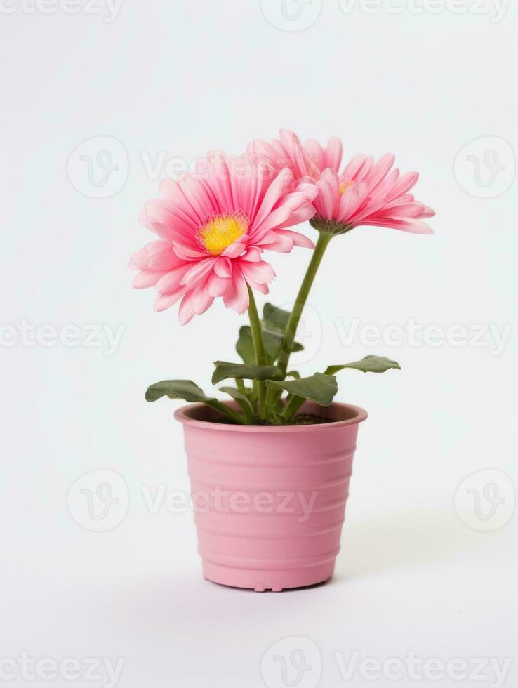 flores en maceta en blanco antecedentes ai generativo foto