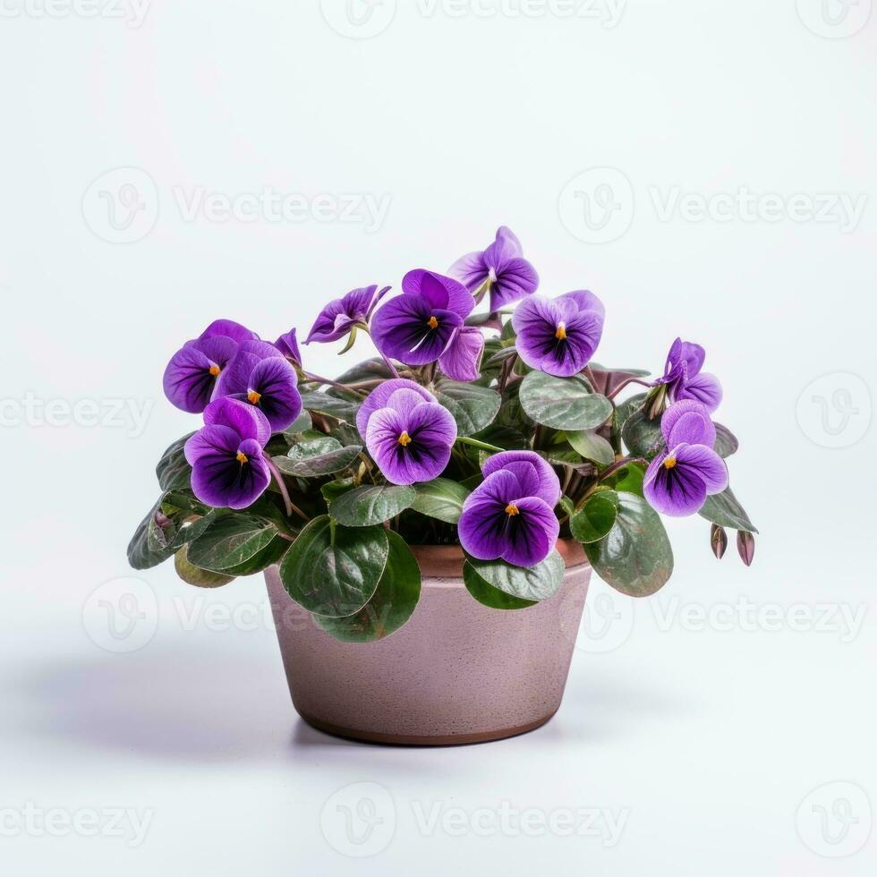 Flowers in pot on white background AI Generative photo