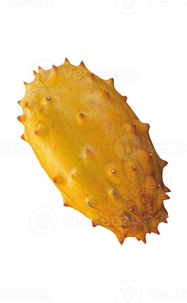 Melano, Kiwano, or Blowfish Fruit 32397209 Stock Photo at Vecteezy
