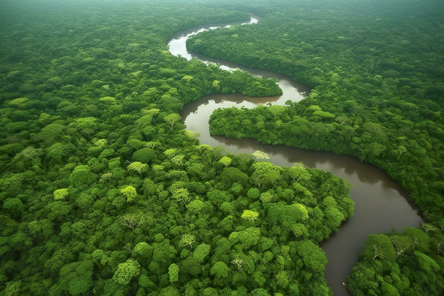 aéreo ver de el amazonas selva paisaje con río doblar. generativo ai foto