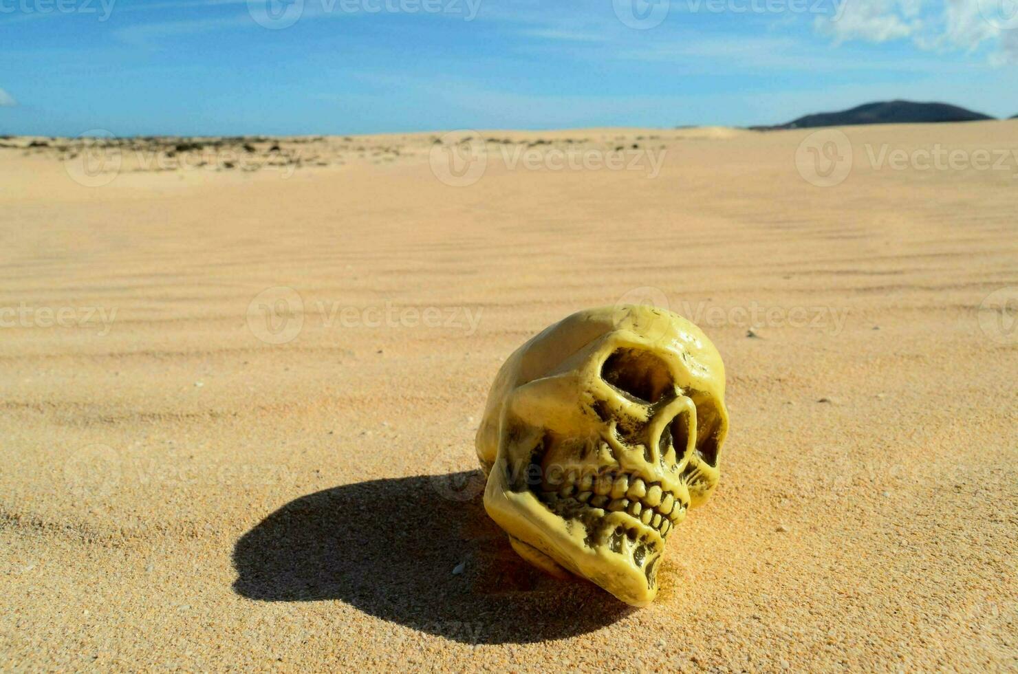 a skull in the sand with a blue sky photo