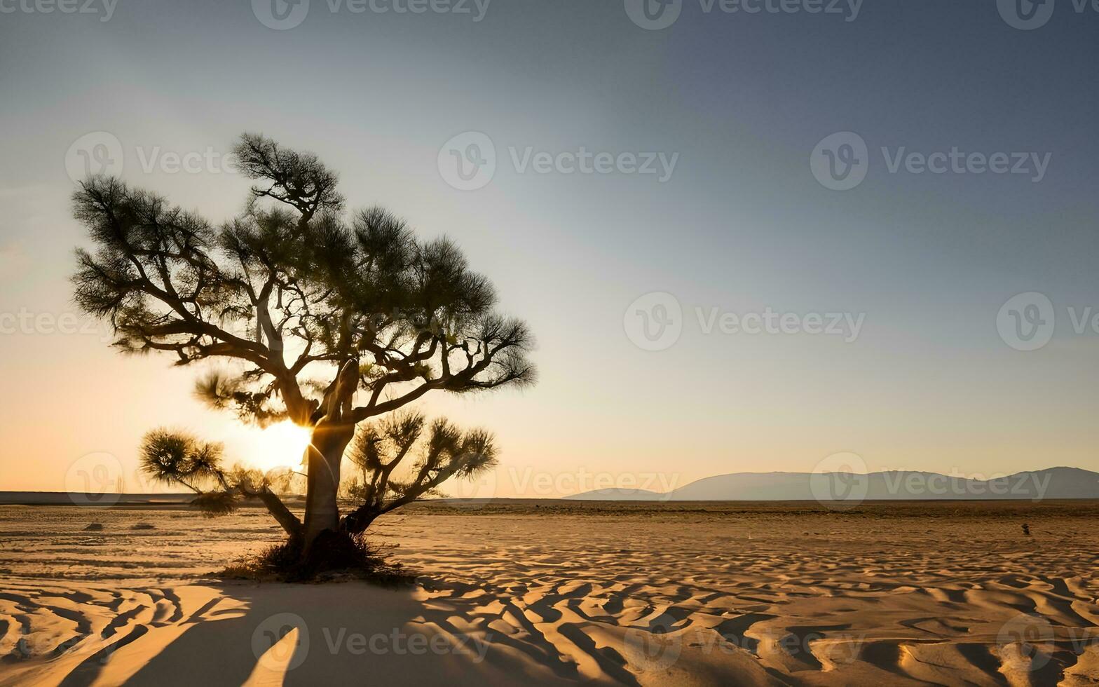 solitario centinela, un cautivador retrato de un solitario árbol en medio de el expansivo abrazo de el Desierto desierto. ai generado foto