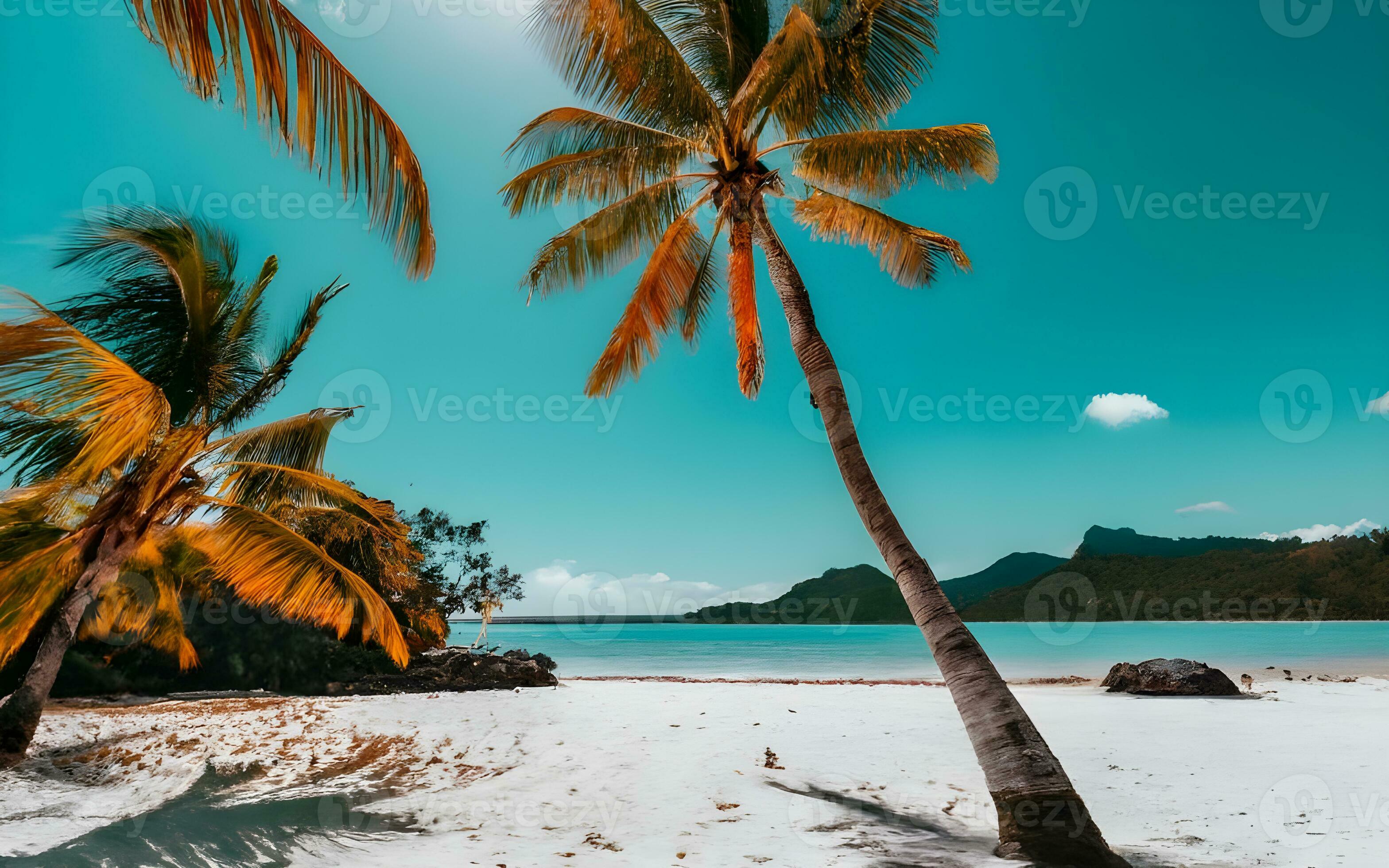 Paradise Unveiled, A Captivating Portrait of a Pristine White Sandy 