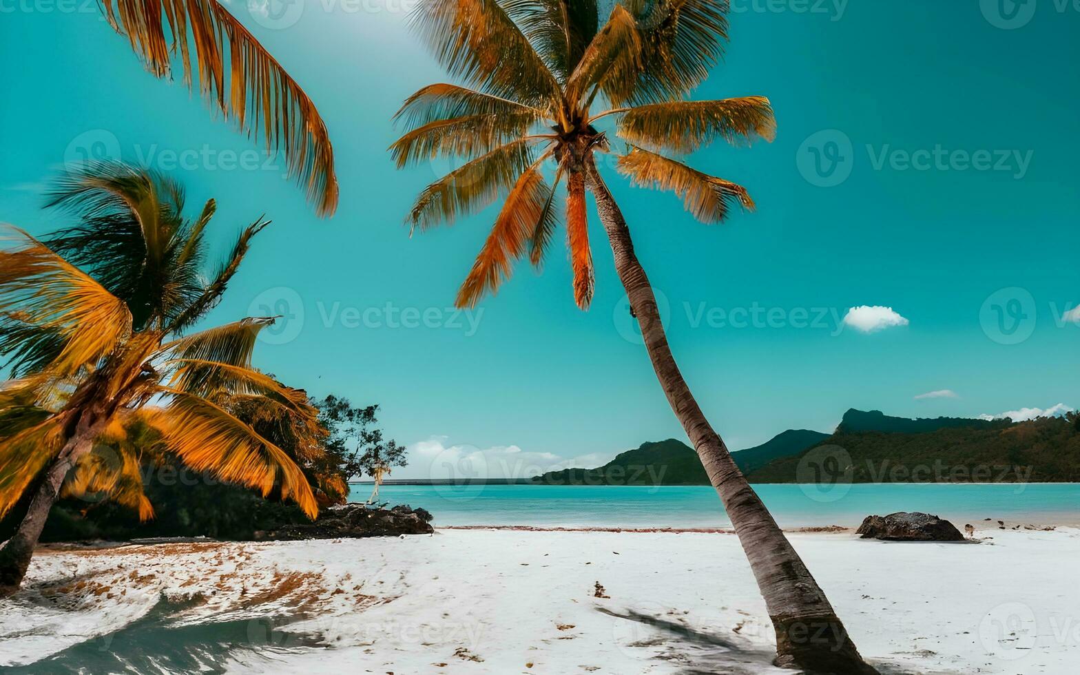 Paradise Unveiled, A Captivating Portrait of a Pristine White Sandy Beach Kissed by Crystal-Clear Waters. AI Generated photo