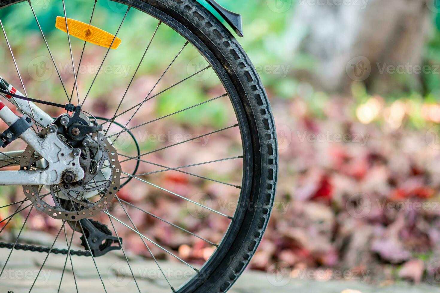 A bicycle wheel stops in a park. Bicycle for exercise. closeup, copy space on right for design or content. Blurred background photo