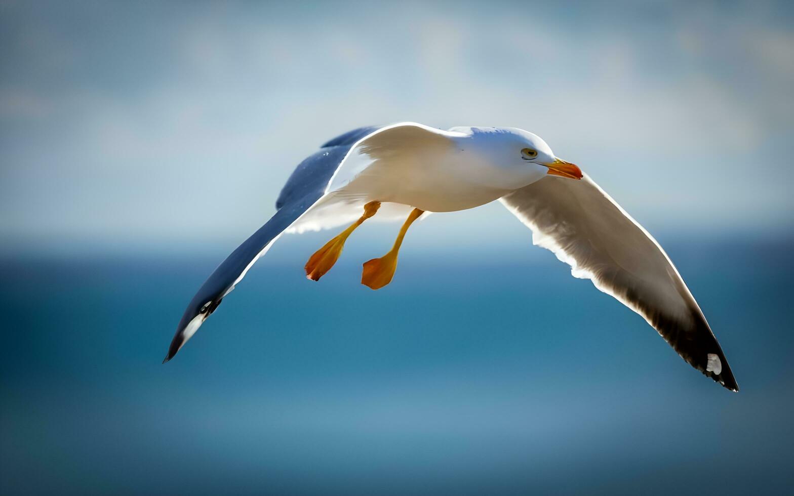 Ethereal Symphony, A Majestic Seagull Soaring Above Azure Waves. AI Generated photo