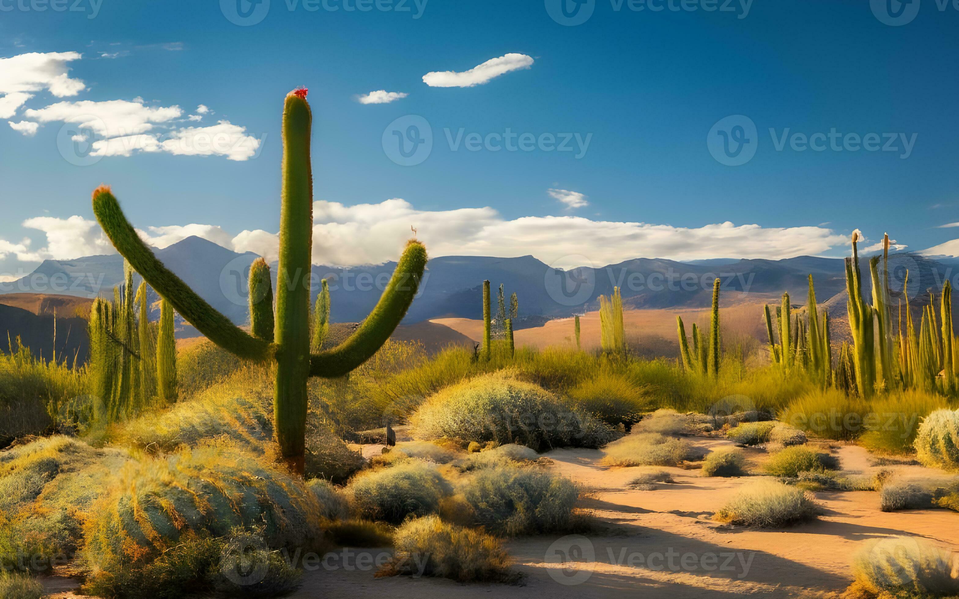 Textural Tapestry of Desert Cacti, Exploring the Intricate and Unique 
