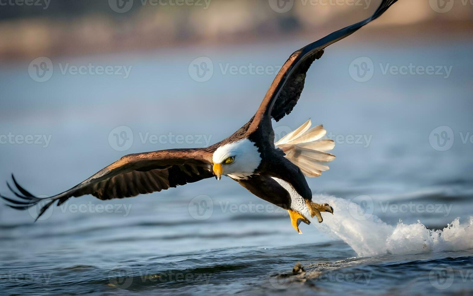 Masterful Majesty, A Breathtaking Glimpse of the Bald Eagle's Commanding Flight. AI Generated photo