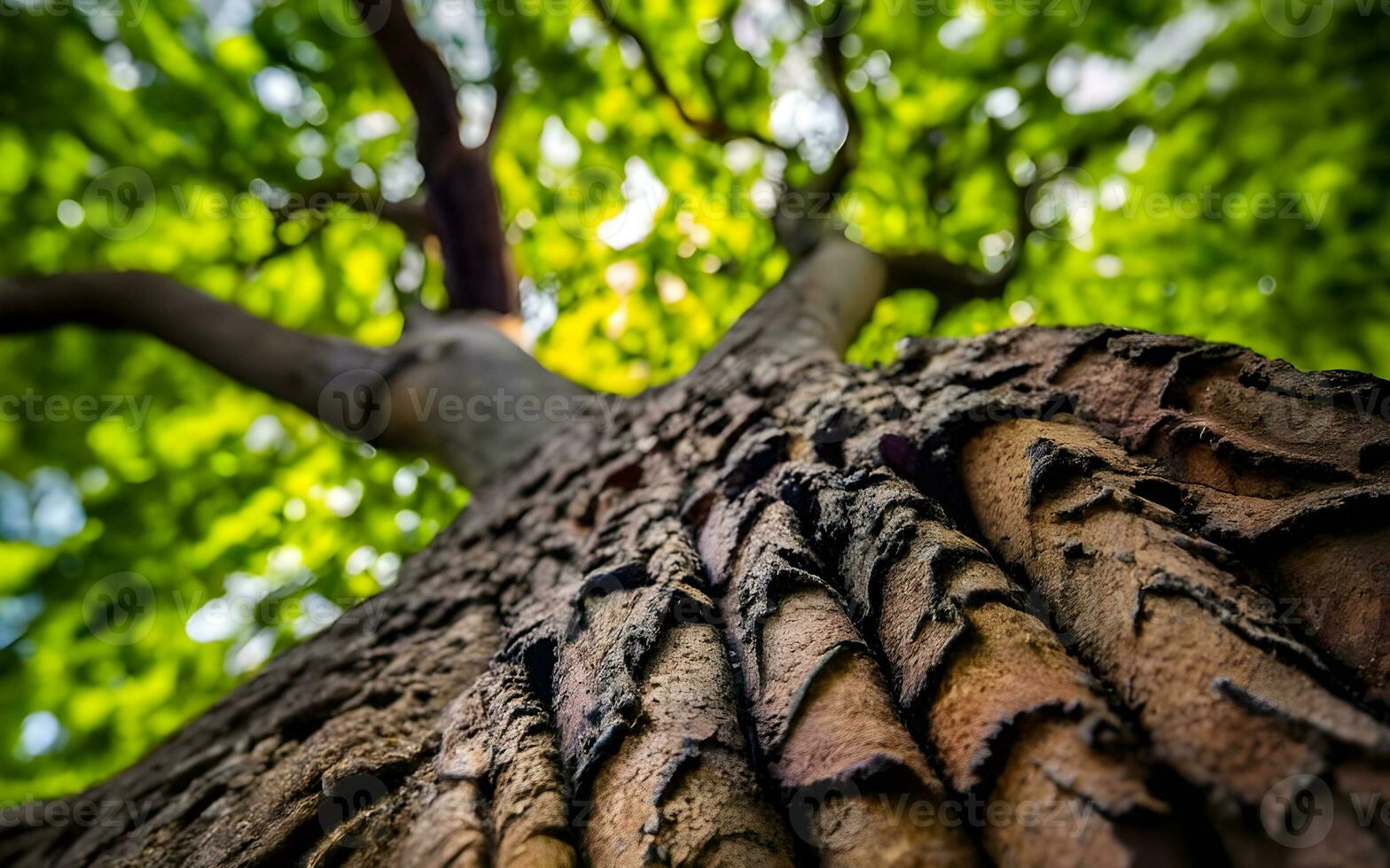 Arboreal Tapestry, A Macro Journey Through the Intricate Textures of Tree Bark. AI Generated photo