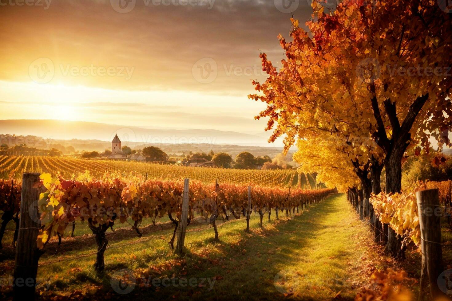 French Italian Spanish Vineyard Scenery with Distant Buildings Houses Church. Commercial appeal. Ample text space. AI Generative photo