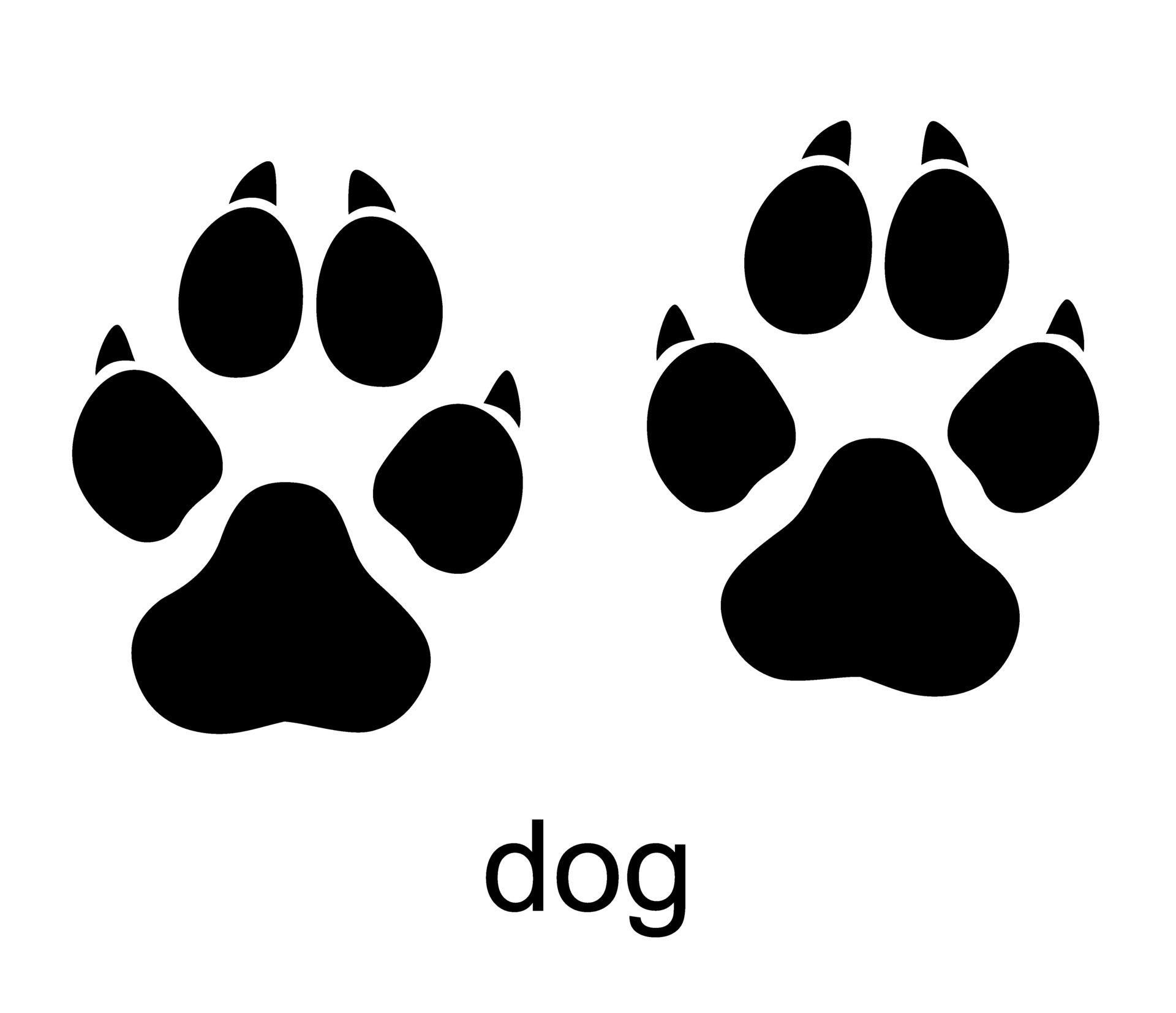 Dog footprint. Dog stamp. Foot print track icons set. Animal footprints
