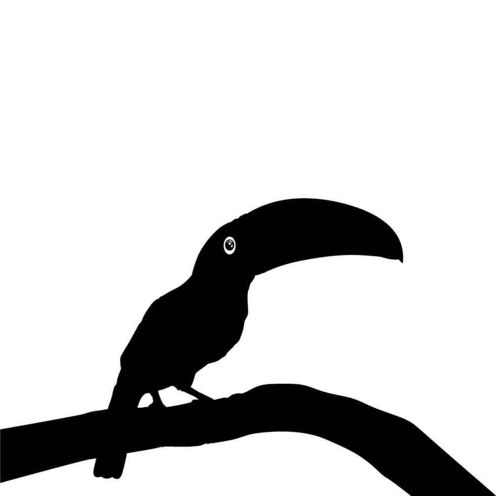 tucanes son neotropical miembros de el cerca paseriforme pájaro familia ramphastidae. el ramphastidae son más cercanamente relacionado a el americano barbudos, pájaro silueta. vector ilustración