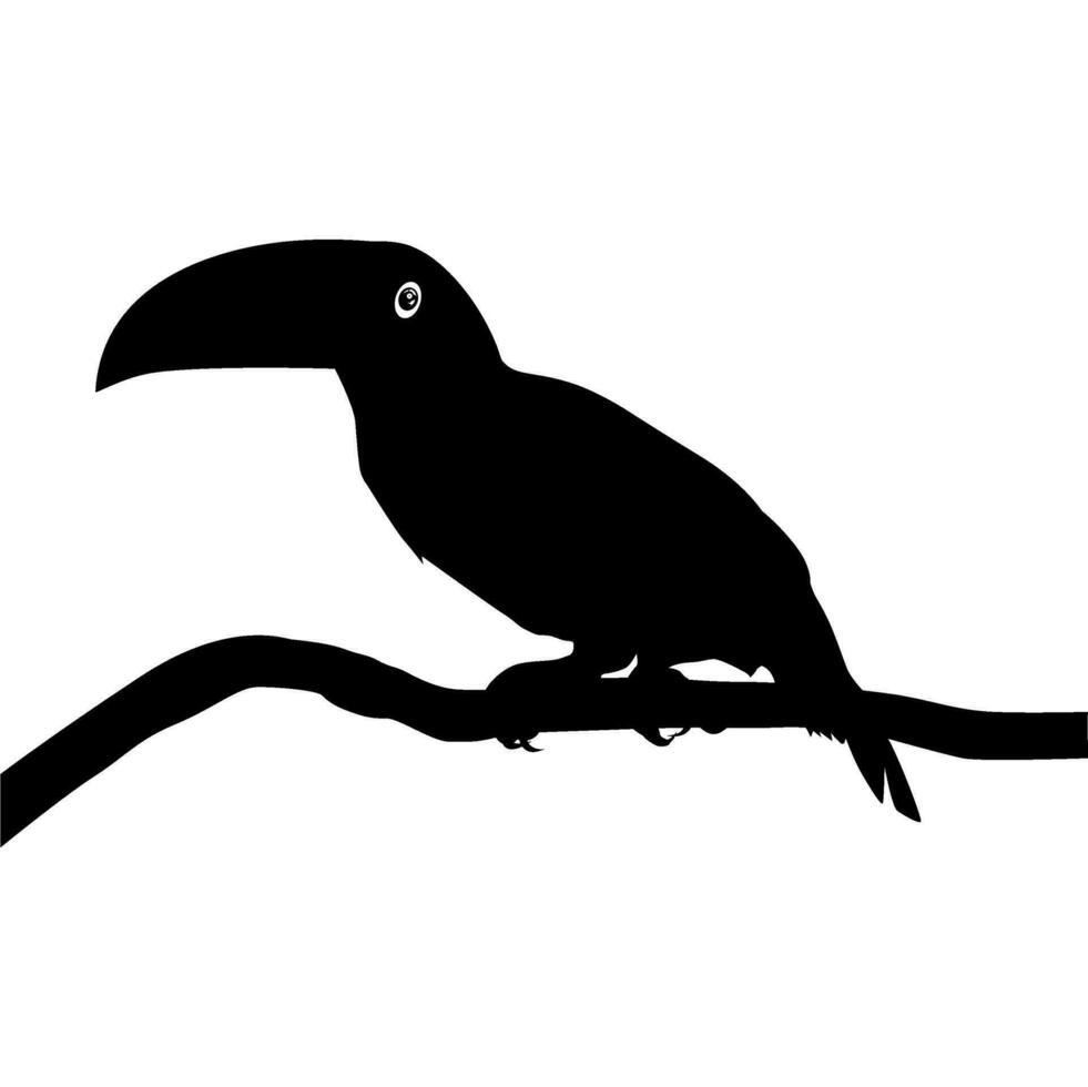 Toucans are Neotropical members of the near passerine bird family Ramphastidae. The Ramphastidae are most closely related to the American barbets, Bird Silhouette. Vector Illustration