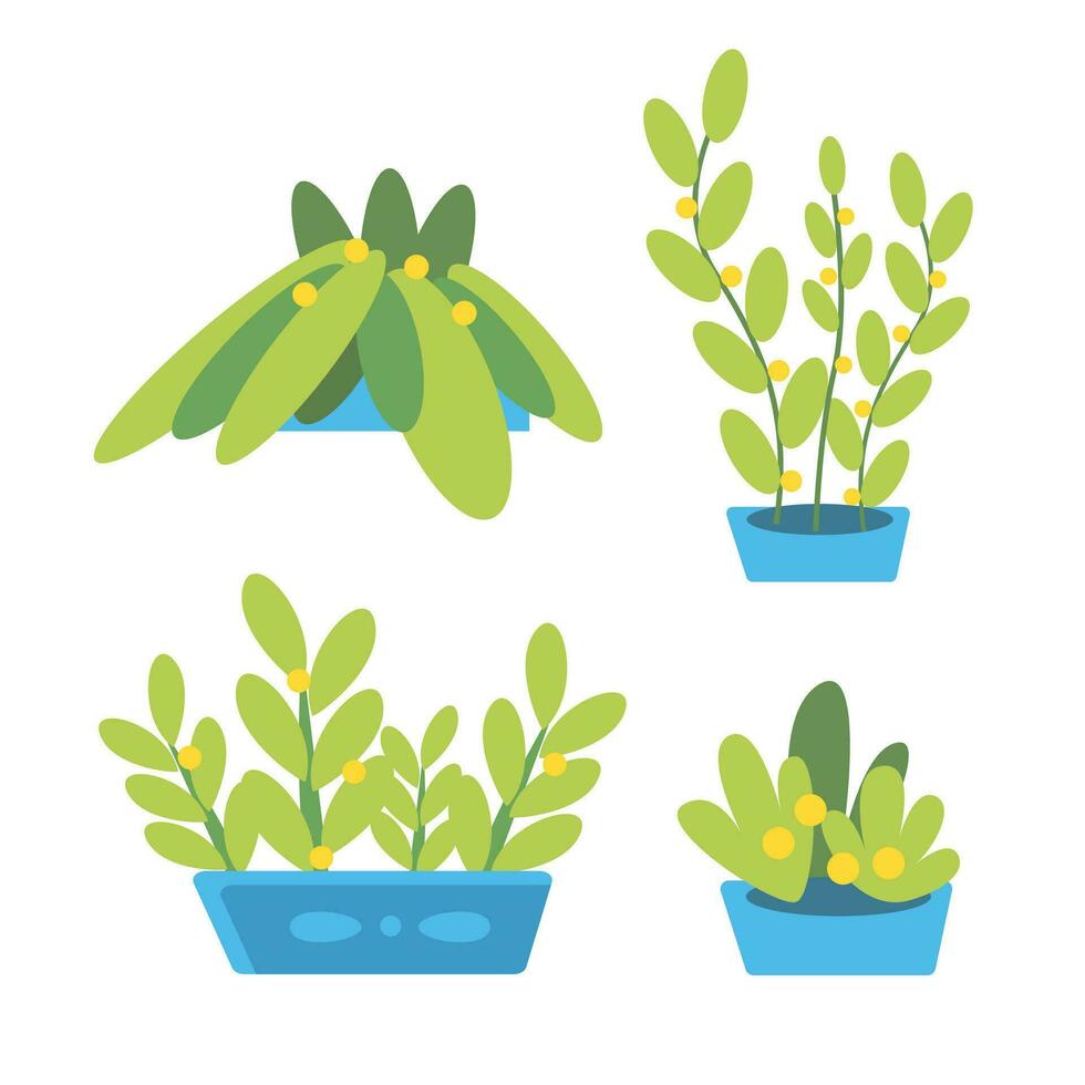 Vector set of plants in cute cartoon style.