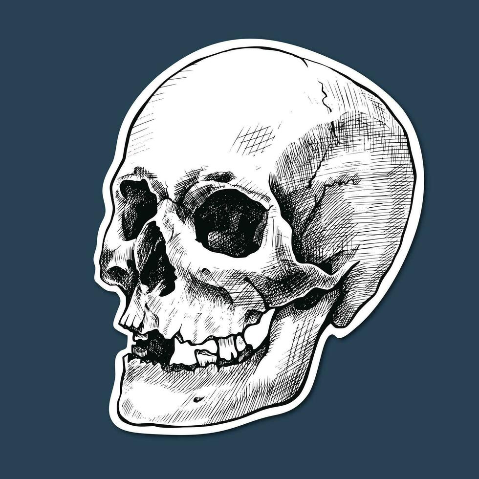 Sticker with hand drawn human skull. Vector graphic illustration.